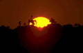 sunset figures hill Vintage A4 Photo Print