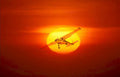 sunset flight c Vintage A4 Photo Print