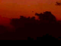 sunset forest sky1980s 1990s A4 Photo Print