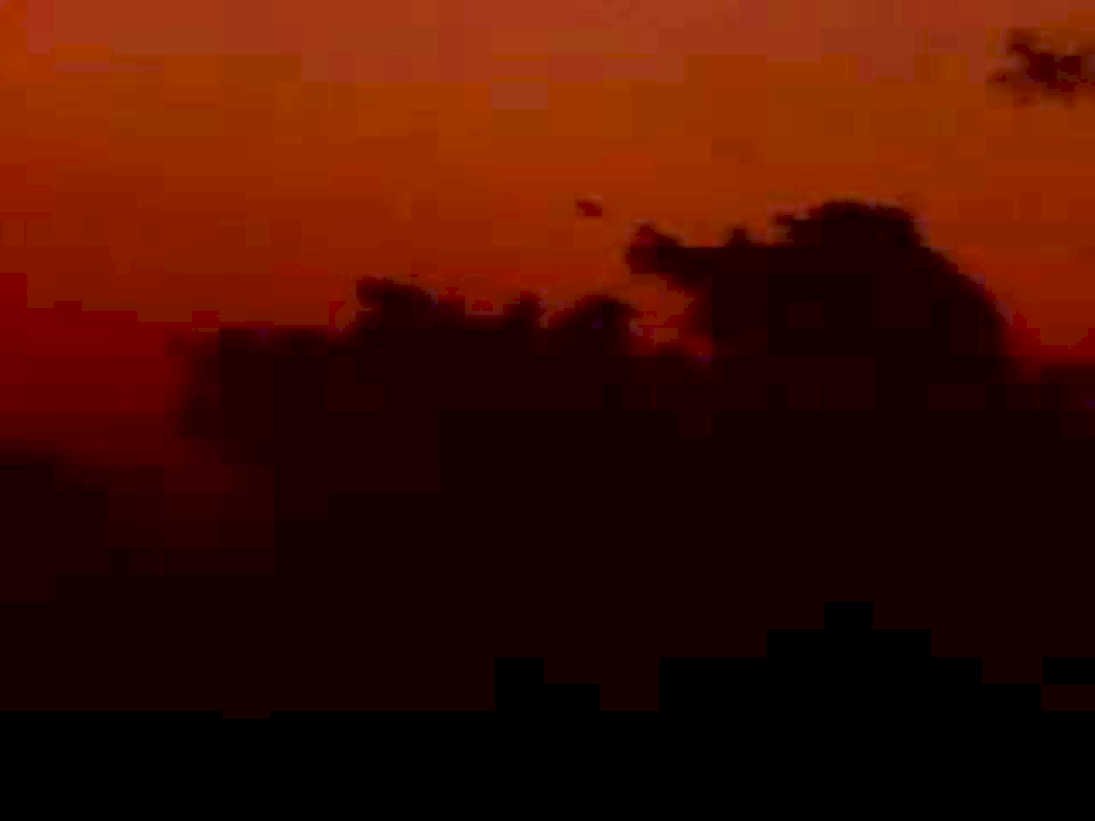 sunset forest sky1980s 1990s A4 Photo Print