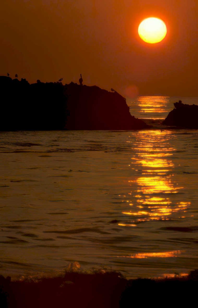 sunset golden coast Vintage A4 Photo Print