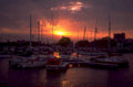 sunset harbor boats 1 1980s 1990s A4 Photo Print
