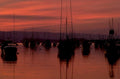 sunset harbor sailboats 1980s 1990s A4 Photo Print 42