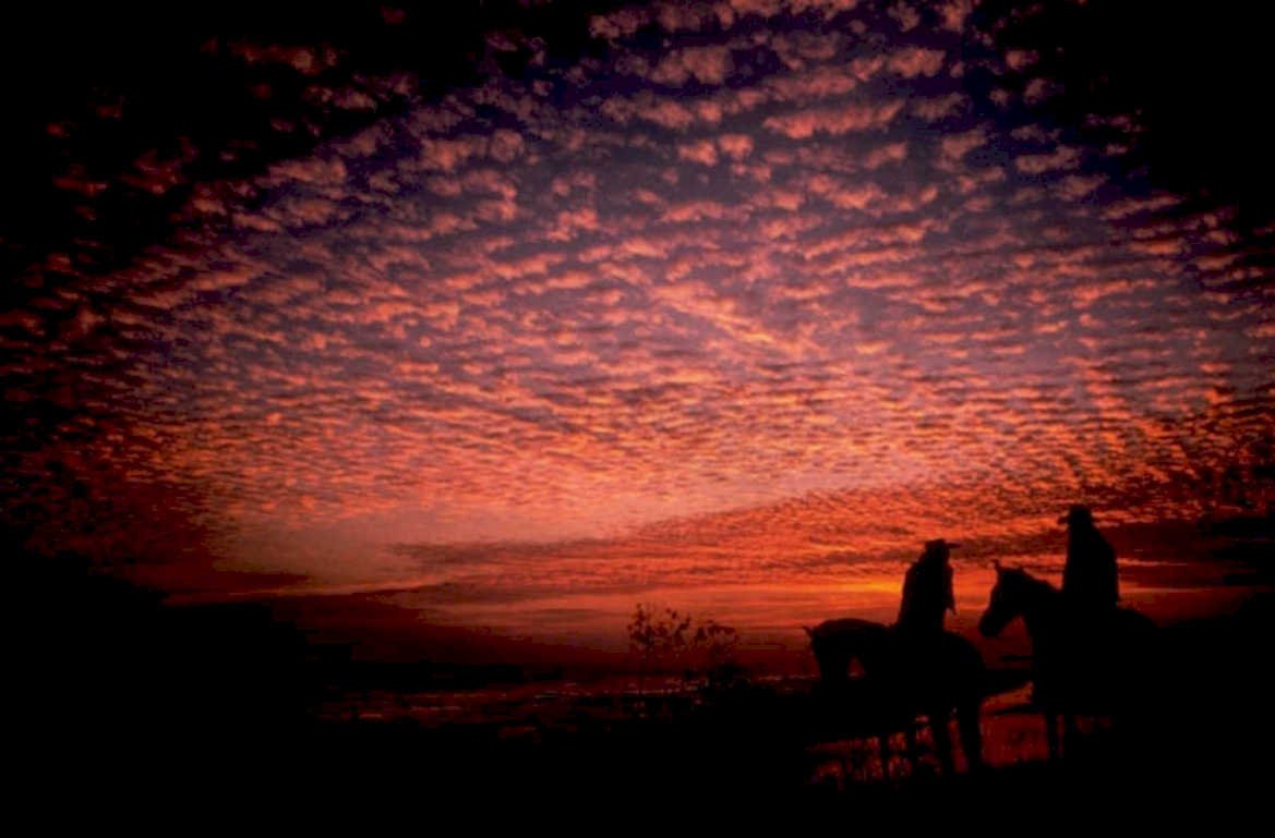 sunset horses colorado 1980s 1990s A4 Photo Print