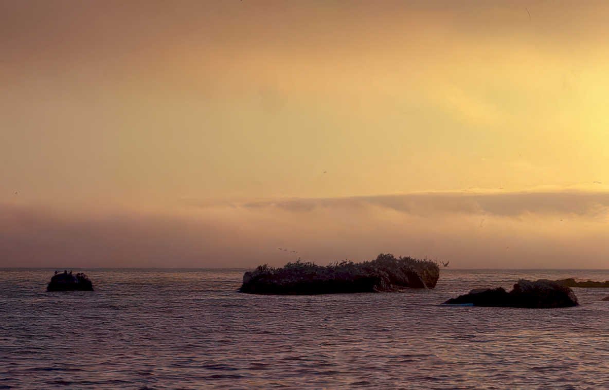 sunset islands gulls Vintage A4 Photo Print