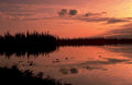 sunset lake forest 1980s 1990s A4 Photo Print