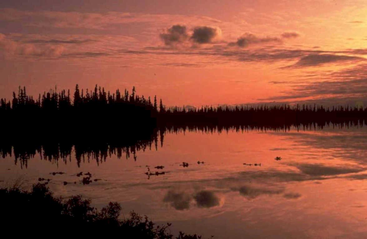 sunset lake forest 1980s 1990s A4 Photo Print