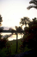 sunset lake palm 1980s 1990s A4 Photo Print