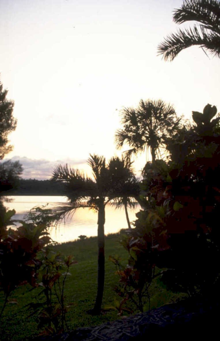 sunset lake palm 1980s 1990s A4 Photo Print