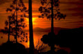 sunset lake tahoe 2 1980s 1990s A4 Photo Print 42
