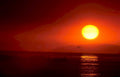 sunset ocean birds Vintage A4 Photo Print