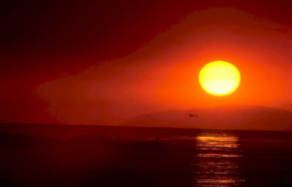 sunset ocean birds Vintage A4 Photo Print