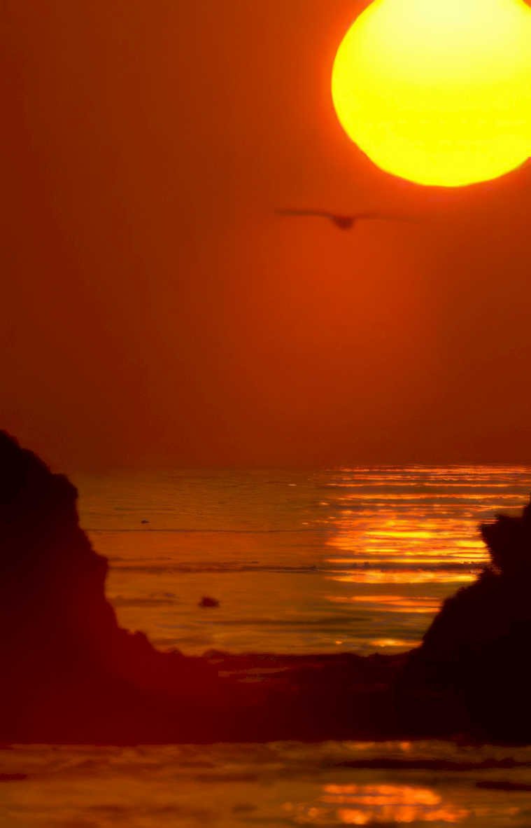 sunset ocean cliffs Vintage A4 Photo Print