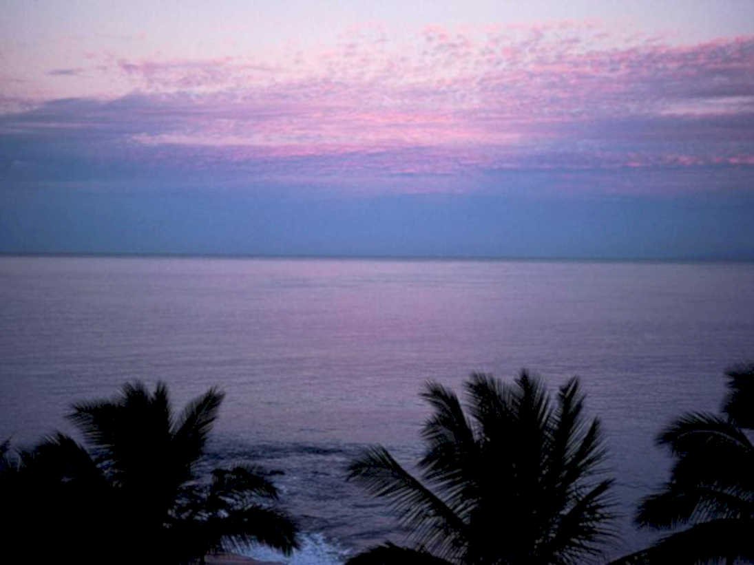 sunset ocean palm1980s 1990s A4 Photo Print