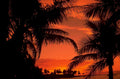 sunset palm beach 1 1980s 1990s A4 Photo Print