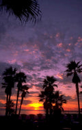 sunset palm beach 2 1980s 1990s A4 Photo Print 43