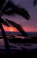sunset palm beach 3 1980s 1990s A4 Photo Print
