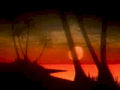 sunset palm beach1980s 1990s A4 Photo Print