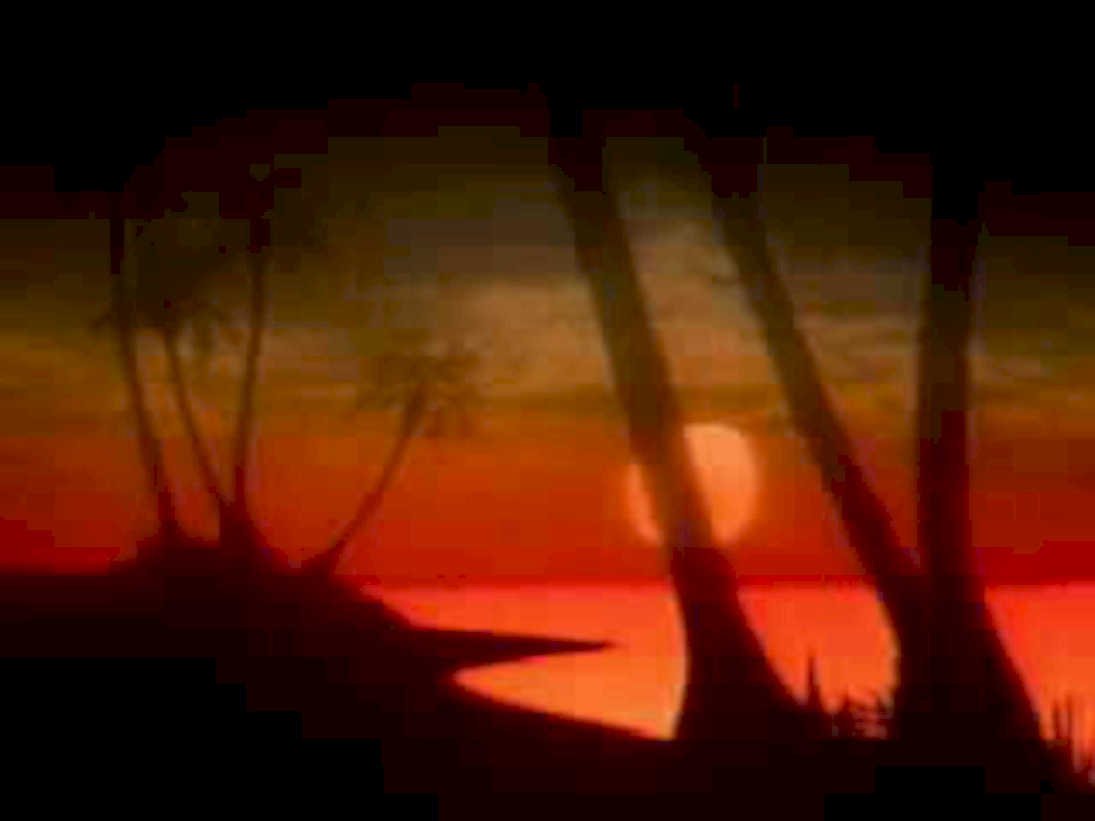 sunset palm beach1980s 1990s A4 Photo Print