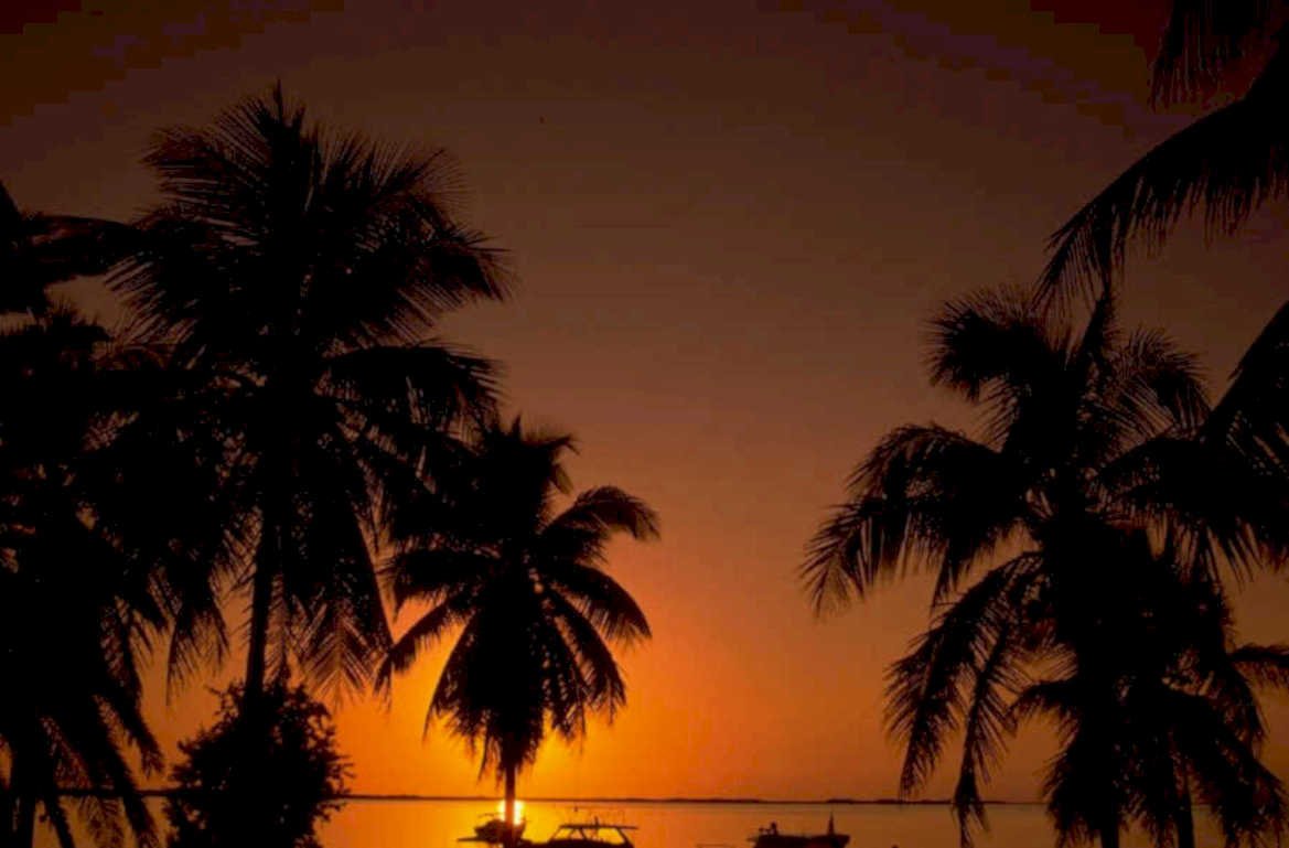 sunset palm boat 1980s 1990s A4 Photo Print