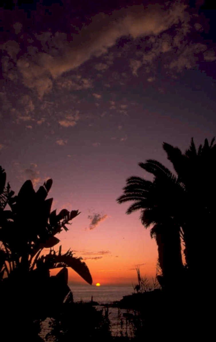 sunset palm ocean 2 1980s 1990s A4 Photo Print
