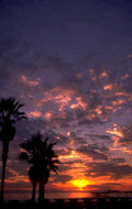 sunset palm pier 1980s 1990s A4 Photo Print