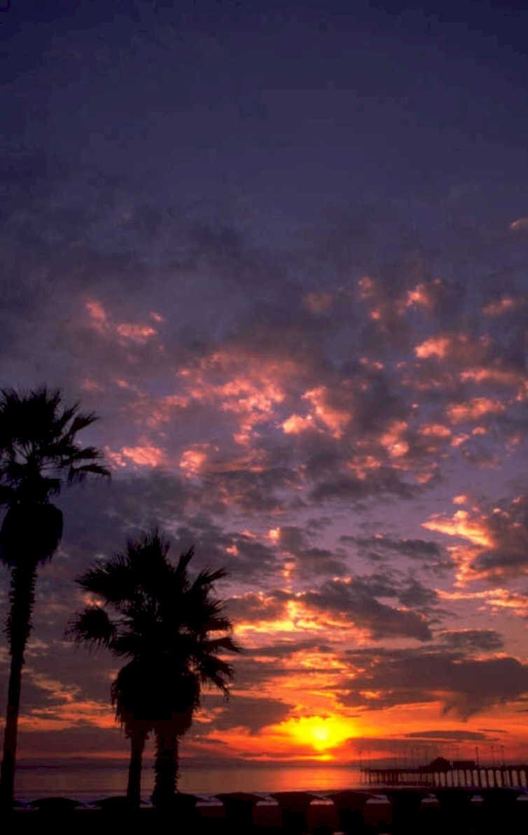 sunset palm pier 1980s 1990s A4 Photo Print
