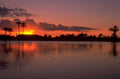sunset palm reflection 2 1980s 1990s A4 Photo Print