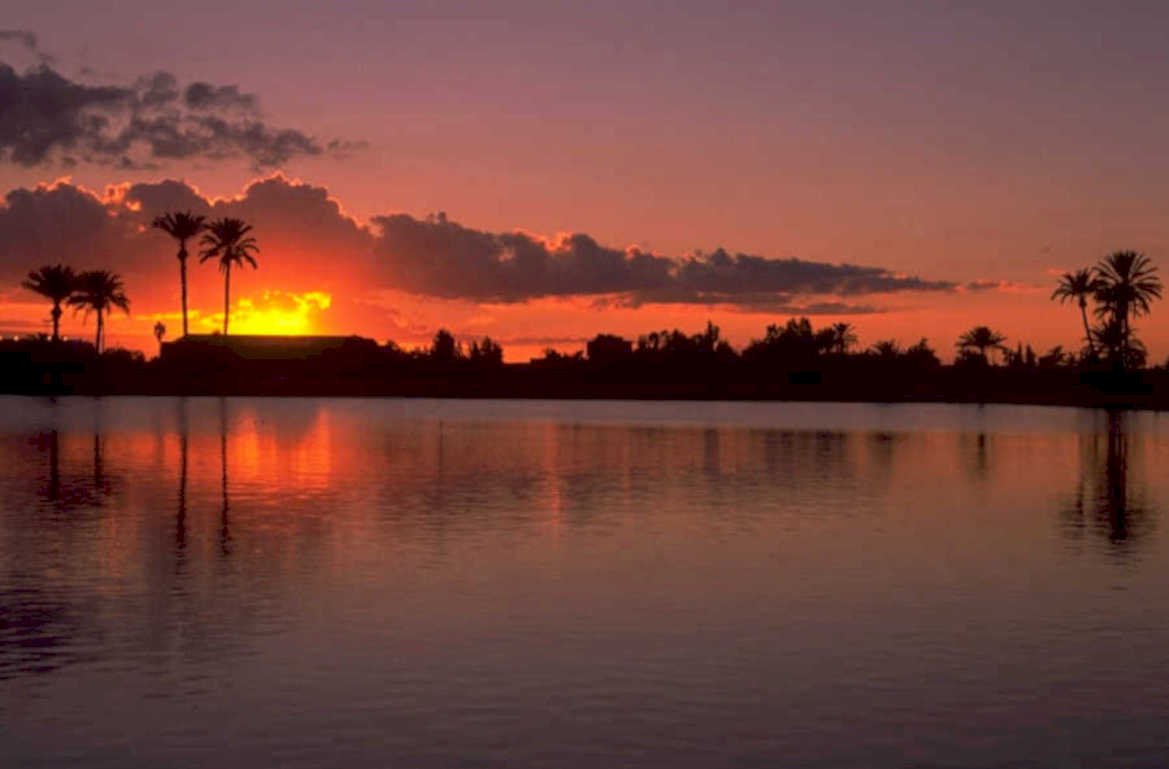 sunset palm reflection 2 1980s 1990s A4 Photo Print