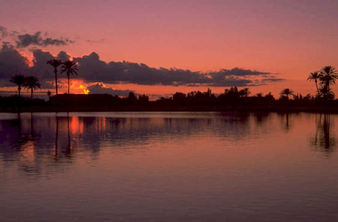 sunset palm trees 1980s 1990s A4 Photo Print 43