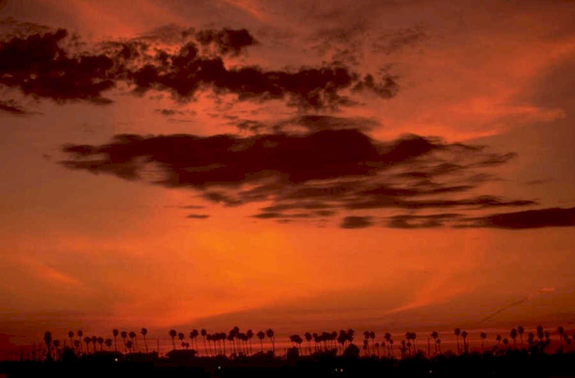 sunset palm trees 1980s 1990s A4 Photo Print