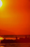sunset pelicans beach 2 Vintage A4 Photo Print