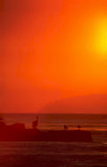 sunset pelicans beach 3 Vintage A4 Photo Print