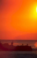 sunset pelicans coast 3 GIGA 2