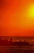 sunset pelicans ocean GIGA 2