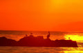 sunset pelicans rocks 1 Vintage A4 Photo Print