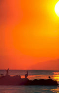 sunset pelicans sea Vintage A4 Photo Print
