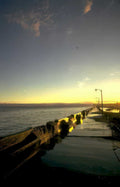 sunset pier birds Vintage A4 Photo Print