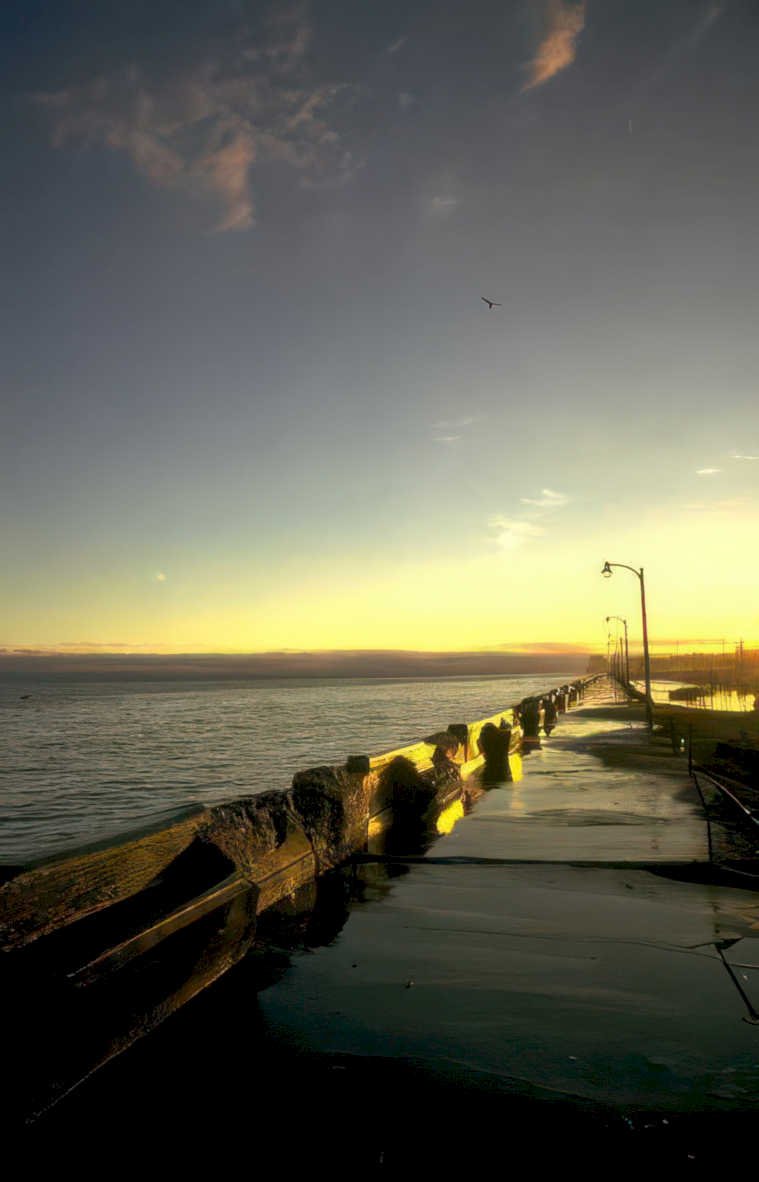 sunset pier birds Vintage A4 Photo Print