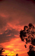 sunset red sky 1 1980s 1990s A4 Photo Print 43