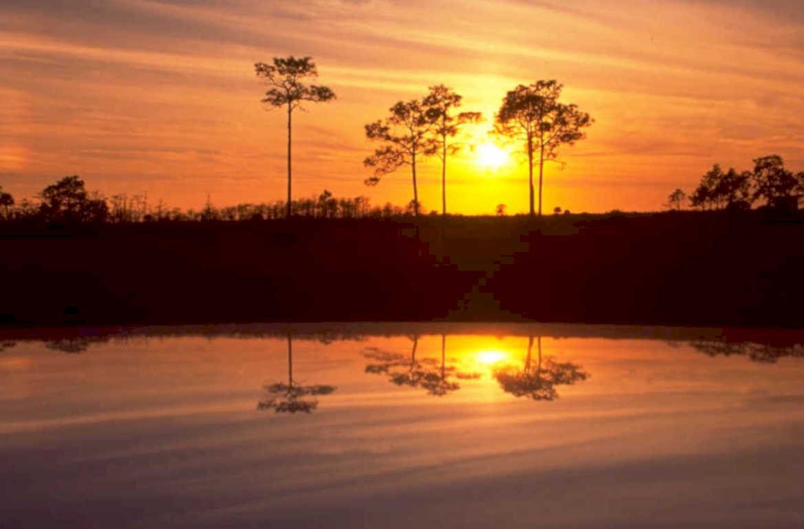 sunset reflection everglades 1 1980s 1990s A4 Photo Print