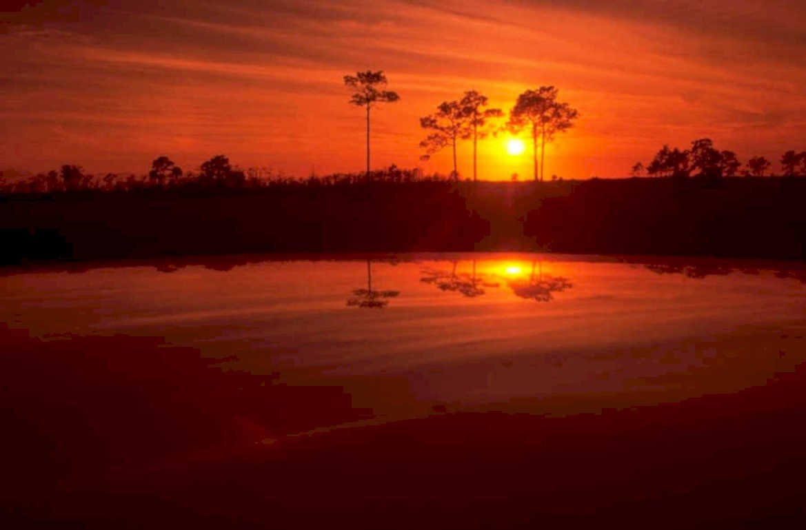 sunset reflection everglades 2 1980s 1990s A4 Photo Print