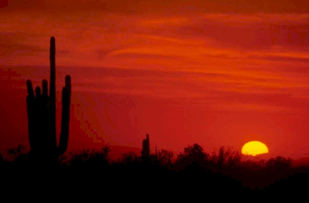 sunset saguaro desert 1980s 1990s A4 Photo Print 42