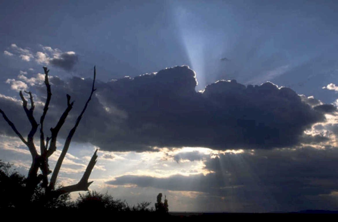 sunset saguaro sky 1980s 1990s A4 Photo Print