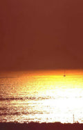 sunset sailboat ocean 1 Vintage A4 Photo Print