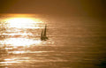 sunset sailboat ocean 2 Vintage A4 Photo Print