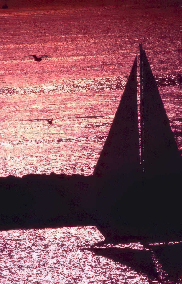 sunset sailboat silhouette 2 Vintage A4 Photo Print