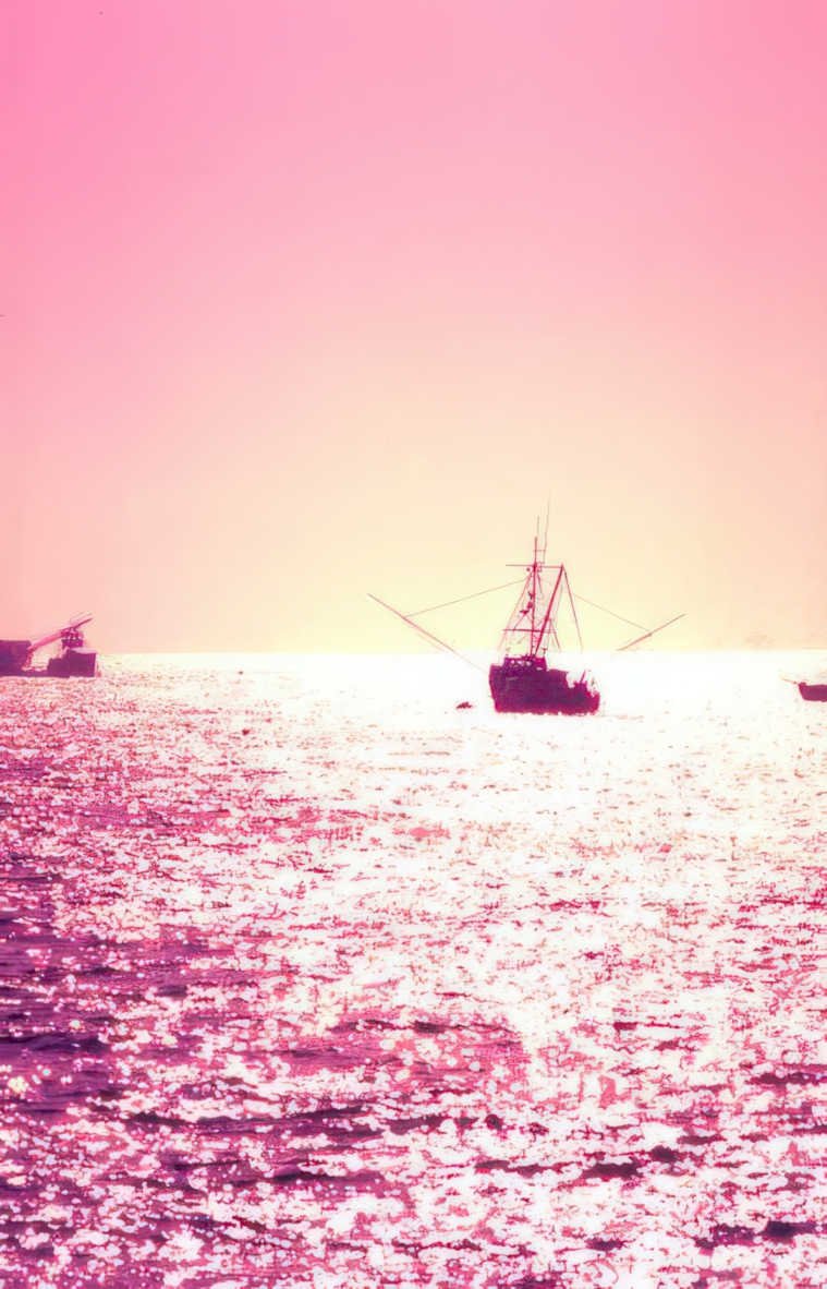 sunset sailboats charleston Vintage A4 Photo Print