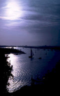 sunset sailboats chesapeake 1980s 1990s A4 Photo Print