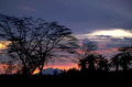 sunset savanna sky 1980s 1990s A4 Photo Print